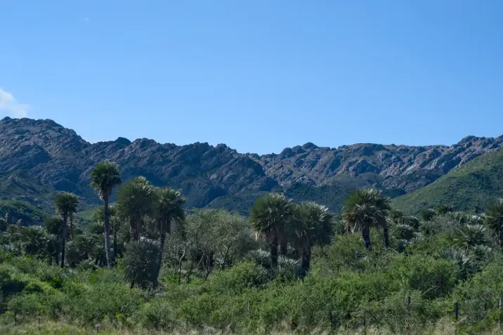 Landscape